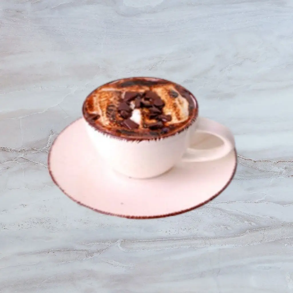 Hot Chocolate With Roasted Marshmallow